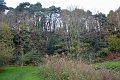 24 11 11_3778_edited-1